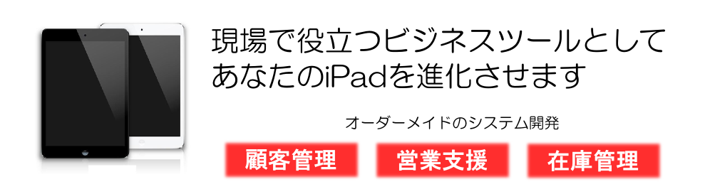 iPadシステム開発
